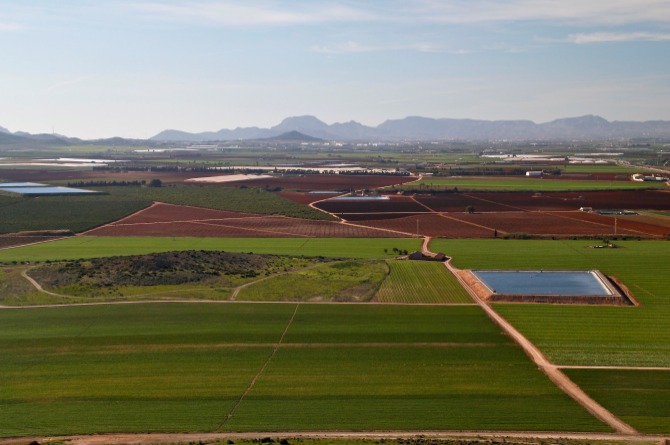 Campo de Cartagena