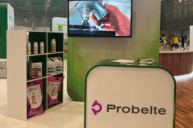 Stand de Probelte en una feria internacional