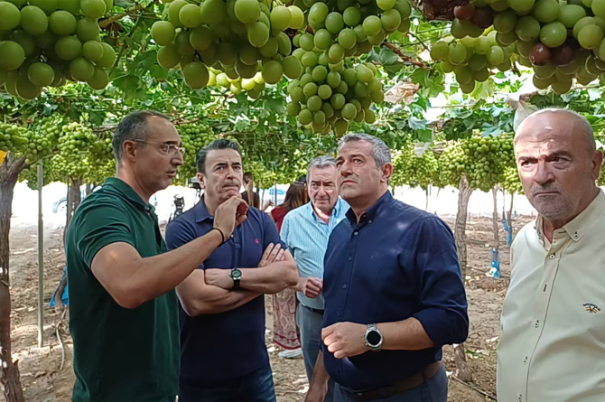 Las nuevas variedades de uva son algunos de los producto estrella de la feria