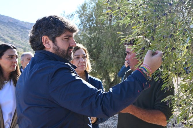 El presidente de la Comunidad, Fernando López Miras, en su visita de este miércoles a una finca de olivos de secano de Jumilla