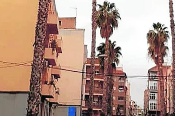 Melonaria tiene su sede social en la avenida de Los Mártires, en Mula