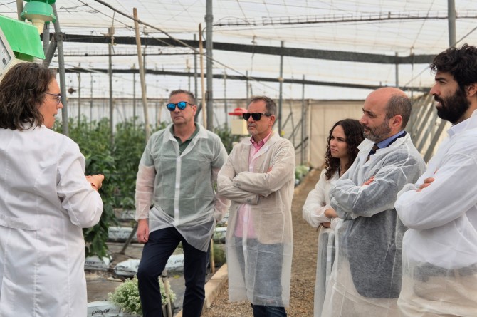 El director del Info, Joaquín Gómez, junto a los directivos de las startups asistentes en Las Palmerillas