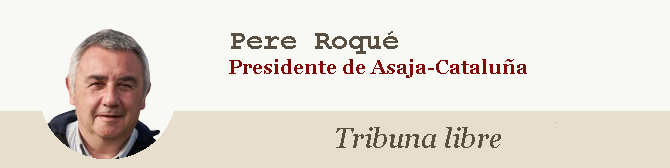 Pere Roqué